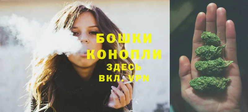 Марихуана SATIVA & INDICA  Омск 